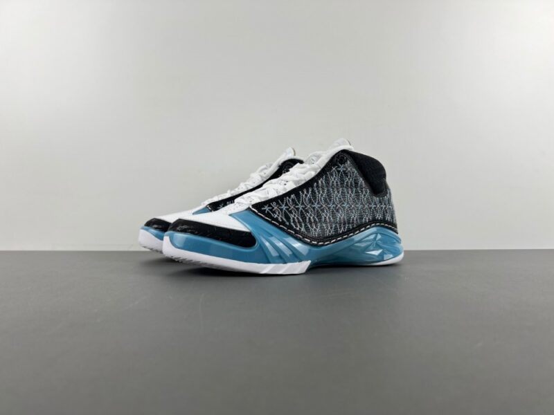 Air Jordan 23 UNC