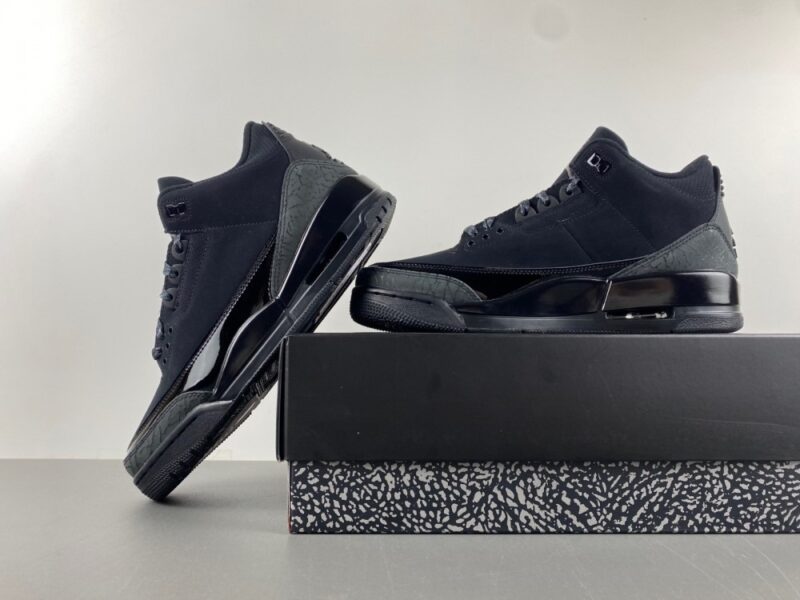 Air Jordan 3 Retro Black Cat (2025) - Image 14