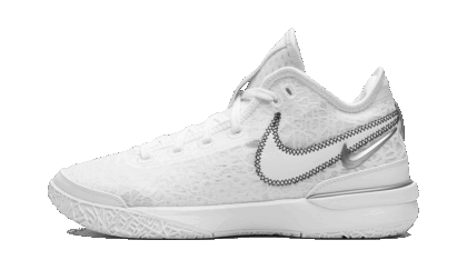 Nike Zoom Lebron NXXT Gen "White / Metallic Silver"