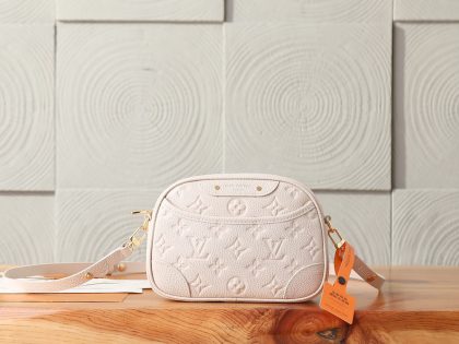 Louis Vuitton Tiny Camera Bag