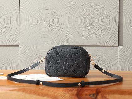 Louis Vuitton Tiny Camera Bag